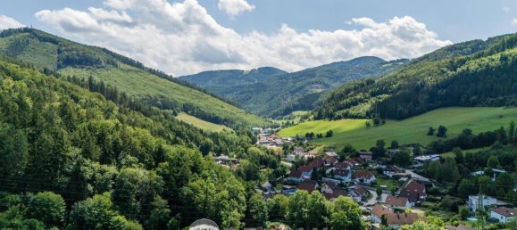 7 rooms House in Hainfeld, Austria No. 196095 25