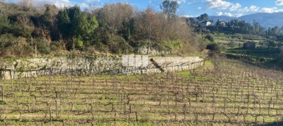 12560m² Land in Marco de Canaveses, Portugal No. 56104 5