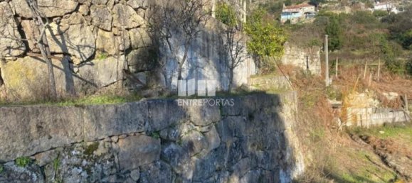 12560m² Land in Marco de Canaveses, Portugal No. 56104 4