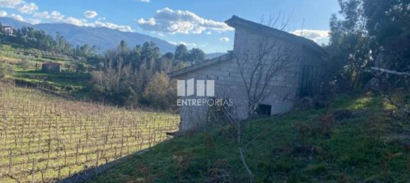 12560m² Land in Marco de Canaveses, Portugal No. 56104 3