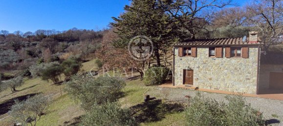 7 rooms House in Radicofani, Italy No. 69731 2