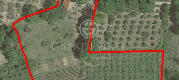 7 rooms House in Radicofani, Italy No. 69731 31