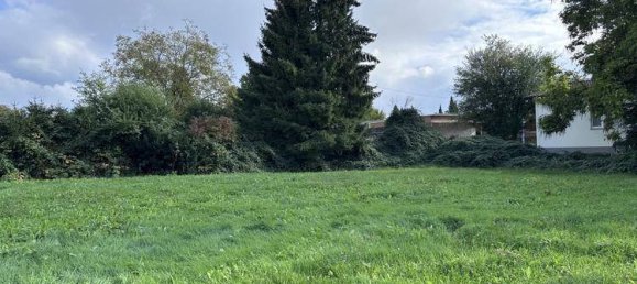  Land in Hard, Austria No. 13962 3