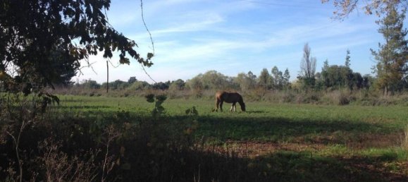 Земельный участок в Биобио, Чили № 712 2