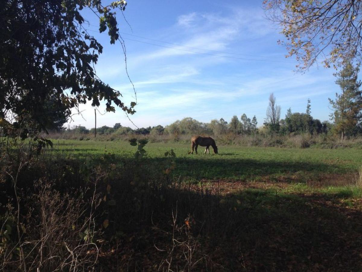 Земельный участок в Биобио, Чили № 712