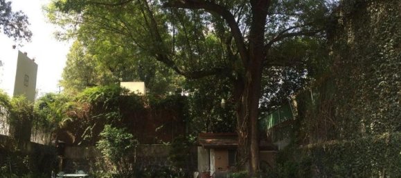 5 chambres Maison à Mexicali, Mexico No. 148638 2