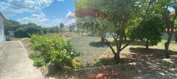 5 Schlafzimmer Haus in Torres Novas, Portugal, Nr. 168790 5