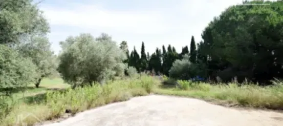 4 bedrooms House in Nules, Spain No. 129425 15