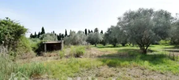 4 bedrooms House in Nules, Spain No. 129425 31