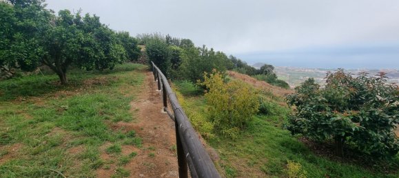 Grundstück in La Orotava, Spain 2600m², Nr. 137825 7