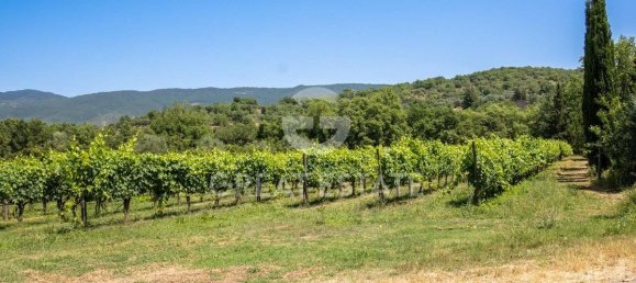 Villa de 12 dormitorios en Tuoro sul Trasimeno, Italy No. 178548 27