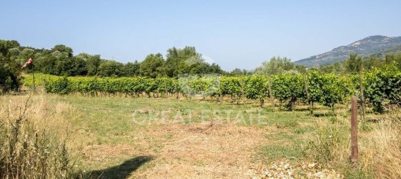 Villa de 12 dormitorios en Tuoro sul Trasimeno, Italy No. 178548 28