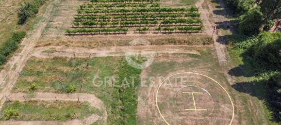 Villa de 12 dormitorios en Tuoro sul Trasimeno, Italy No. 178548 19