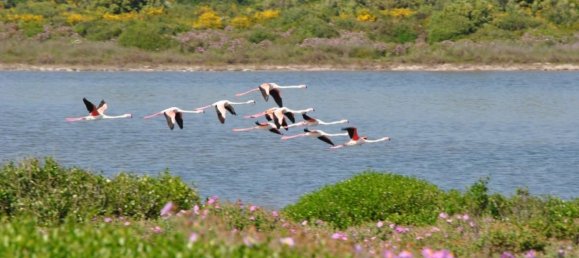 Вилла с 4 комнатами в Мандурия, Италия № 22429 26