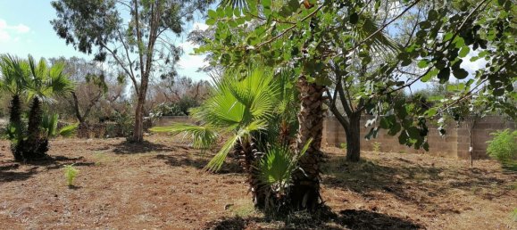 Вилла с 4 комнатами в Мандурия, Италия № 22429 21