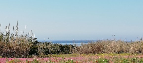 Вилла с 4 комнатами в Мандурия, Италия № 22429 40