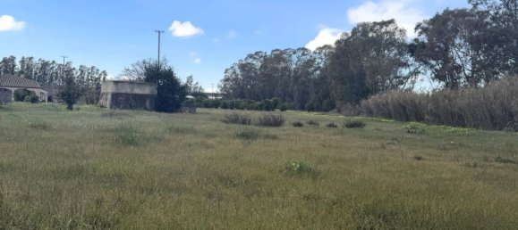 4-salle Maison à Sardinia, Italy No. 247670 29