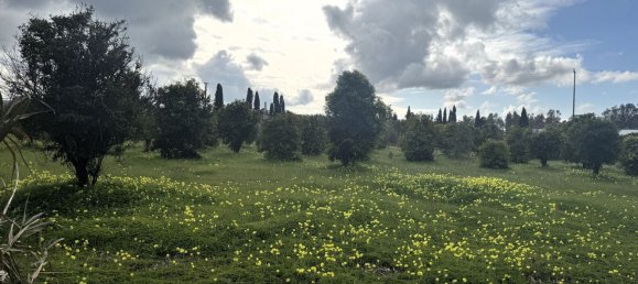 4-salle Maison à Sardinia, Italy No. 247670 25