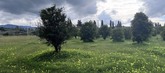 4-salle Maison à Sardinia, Italy No. 247670 18