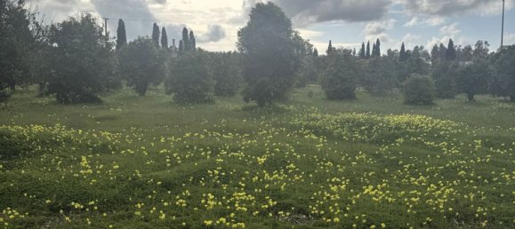 4-salle Maison à Sardinia, Italy No. 247670 24