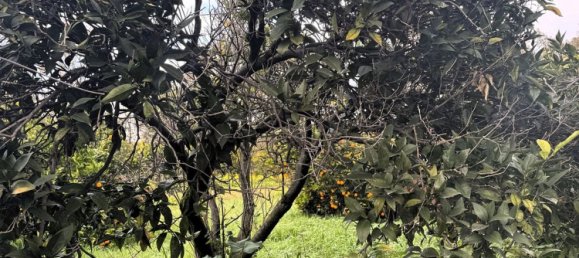 4-salle Maison à Sardinia, Italy No. 247670 32