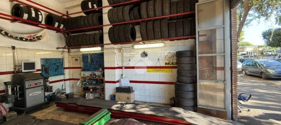 1 room Commercial property in Rome, Italy No. 343382 10