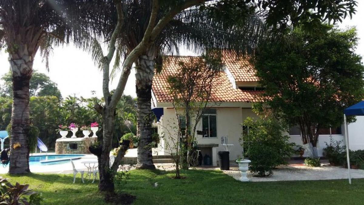 Bauernhof in Tolima, Colombia, Nr. 651