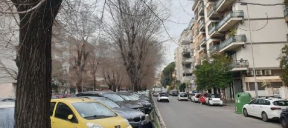 2 rooms Commercial property in Rome, Italy No. 16239 7