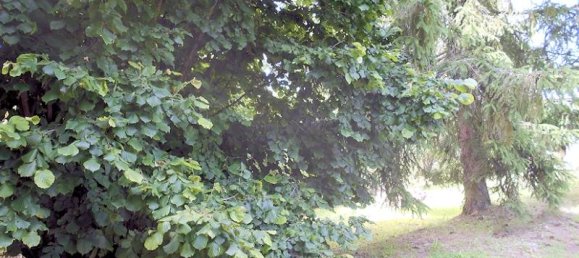 5 rooms House in Alessandria, Italy No. 237352 4