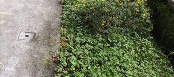 4-Zimmer Wohnung in Massa, Italy, Nr. 50448 20