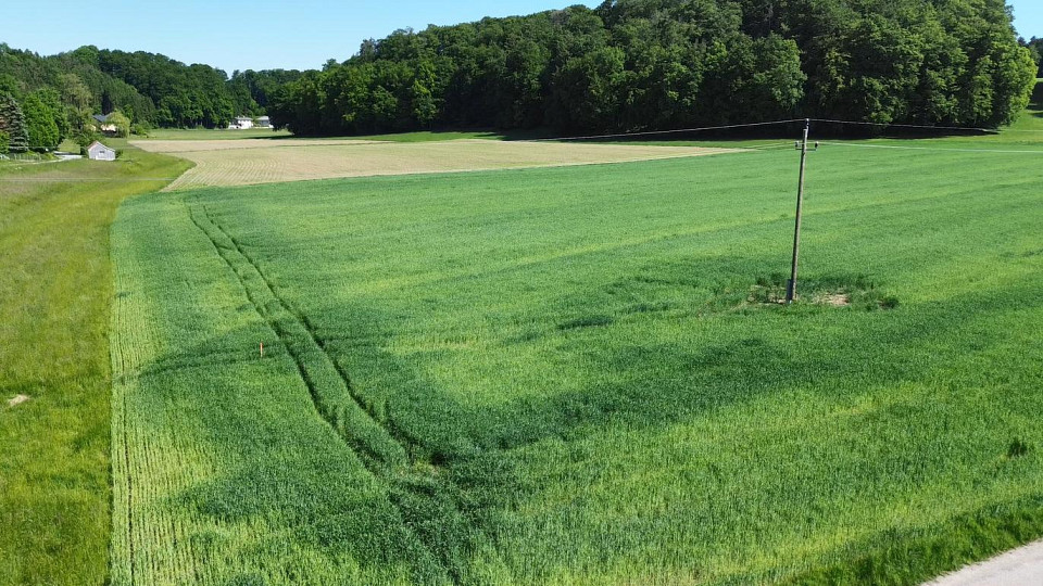 Terreno em Gilgenberg am Weilhart, Austria N.º 131468