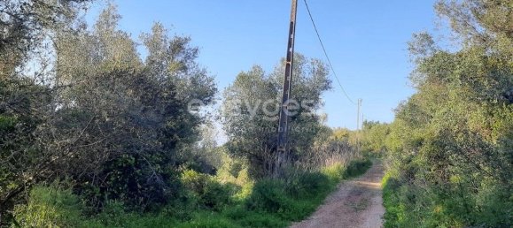 Terrain à Sintra, Portugal 87880m² No. 175883 4