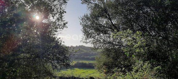 Terrain à Sintra, Portugal 87880m² No. 175883 8