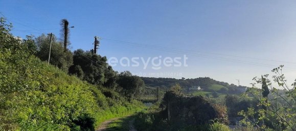 Terrain à Sintra, Portugal 87880m² No. 175883 9