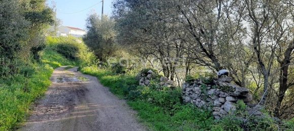 Terrain à Sintra, Portugal 87880m² No. 175883 5