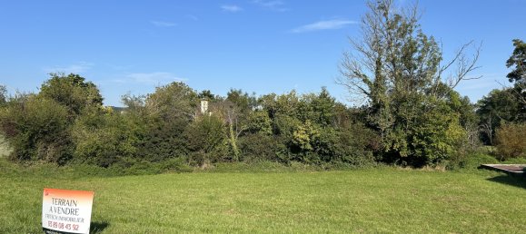  Land in Michelbach-le-Haut, France No. 271418 2