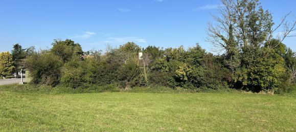  Land in Michelbach-le-Haut, France No. 271418 3