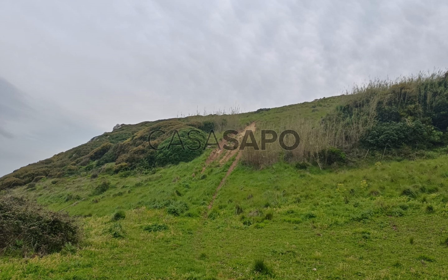 6341m² Land in Torres Vedras, Portugal No. 314418