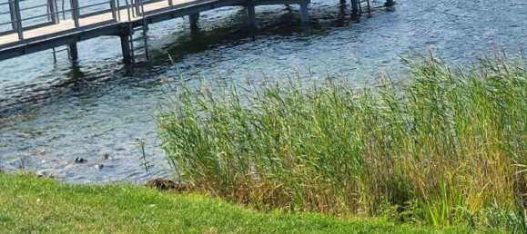 1 غرف نوم شقة في Vienna, Austria رقم 30477 30