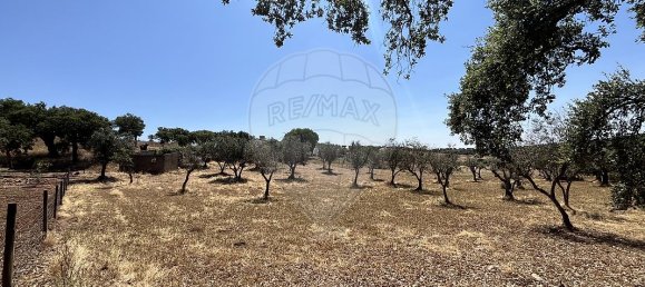 2 Schlafzimmer Haus in Arronches, Portugal, Nr. 29346 33