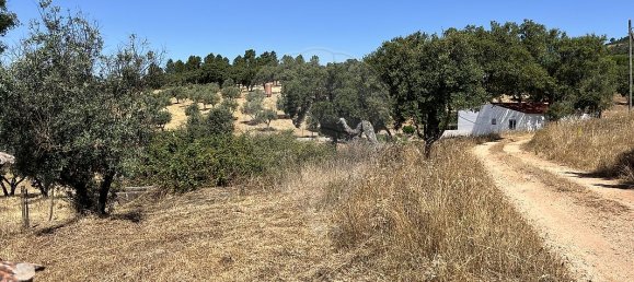 2 Schlafzimmer Haus in Arronches, Portugal, Nr. 29346 19