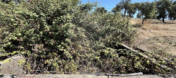 2 Schlafzimmer Haus in Arronches, Portugal, Nr. 29346 38