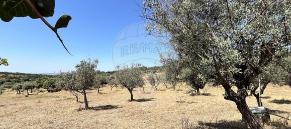 2 Schlafzimmer Haus in Arronches, Portugal, Nr. 29346 22