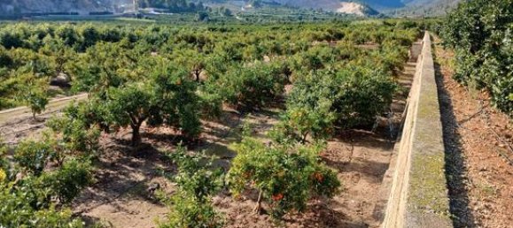  قطعة أرض في Alicante, Spain 14000متر مربع رقم 147824 5