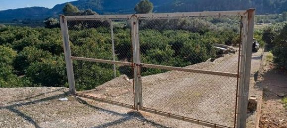  قطعة أرض في Alicante, Spain 14000متر مربع رقم 147824 7