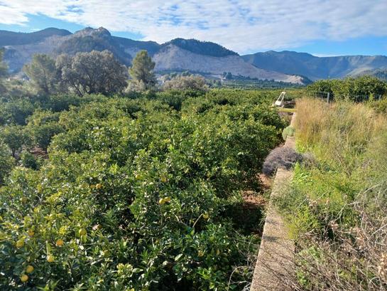  قطعة أرض في Alicante, Spain 14000متر مربع رقم 147824