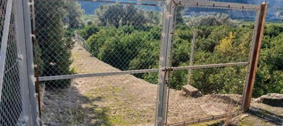  قطعة أرض في Alicante, Spain 14000متر مربع رقم 147824 6