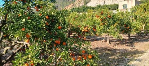  قطعة أرض في Alicante, Spain 14000متر مربع رقم 147824 3