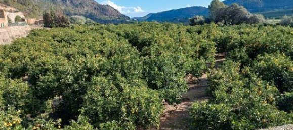  قطعة أرض في Alicante, Spain 14000متر مربع رقم 147824 8