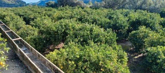  قطعة أرض في Alicante, Spain 14000متر مربع رقم 147824 9